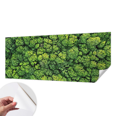 Peel and stick wall mural for kids' room Forest panorama