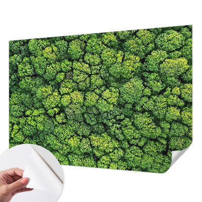 Peel and stick wall mural for kids' room featuring a forest panorama