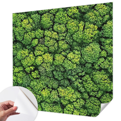 Peel and stick wall mural for kids' room Forest panorama
