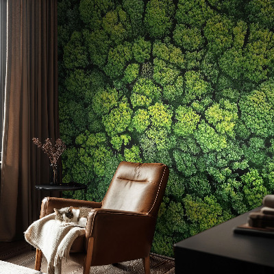 Peel and stick wall mural for kids' room Forest panorama