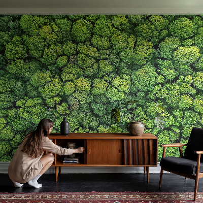Peel and stick wall mural for kids' room Forest panorama