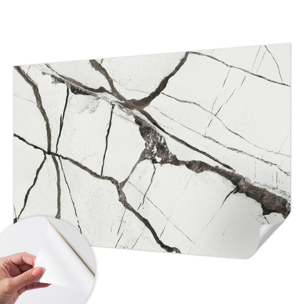 Peel and stick wall mural featuring a marble crack pattern