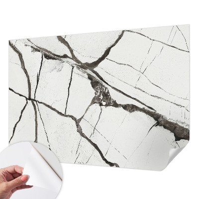 Peel and stick wall mural featuring a marble crack pattern