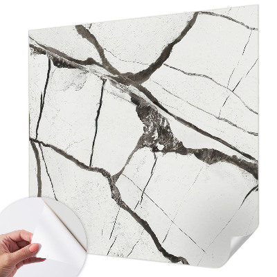 Peel and stick wall mural featuring a marble crack pattern