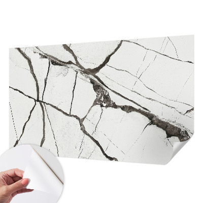 Peel and stick wall mural featuring a marble crack pattern