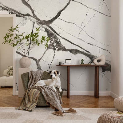 Peel and stick wall mural featuring a marble crack pattern