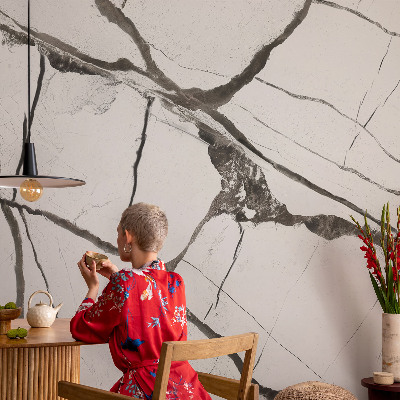 Peel and stick wall mural featuring a marble crack pattern