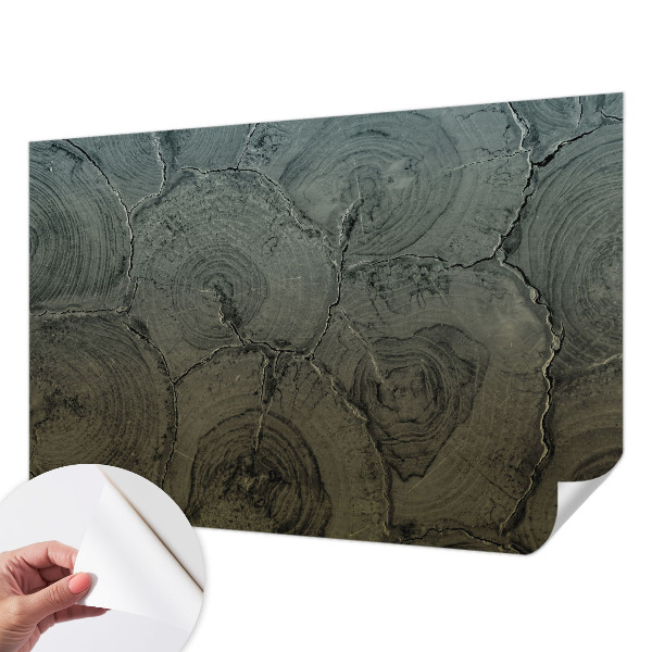 Peel and stick wall mural for bedroom featuring a wooden rings pattern