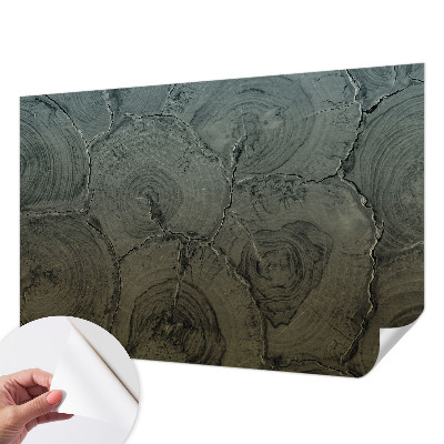 Peel and stick wall mural for bedroom featuring a wooden rings pattern