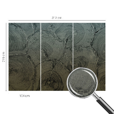 Peel and stick wall mural for bedroom featuring a wooden rings pattern
