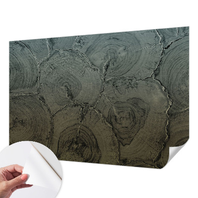 Peel and stick wall mural for bedroom featuring a wooden rings pattern
