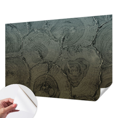 Peel and stick wall mural for bedroom featuring a wooden rings pattern