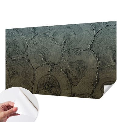 Peel and stick wall mural for bedroom featuring a wooden rings pattern