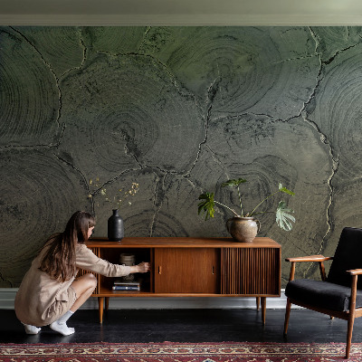 Peel and stick wall mural for bedroom featuring a wooden rings pattern