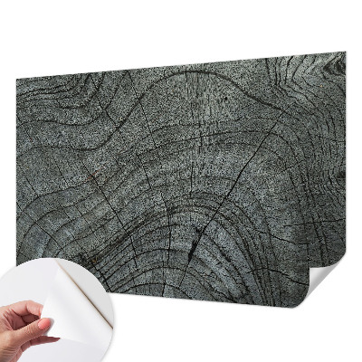 Peel and stick wall mural for living room Grain pattern