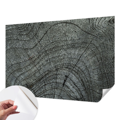 Peel and stick wall mural for living room with a natural wood grain pattern