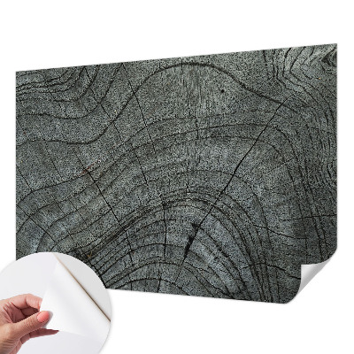 Peel and stick wall mural for living room with a natural wood grain pattern