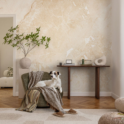 Stick-on wall mural with a natural stone look