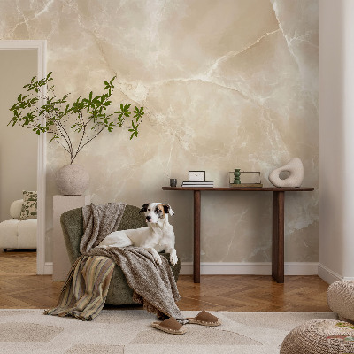 Peel and stick wall mural with a natural stone look