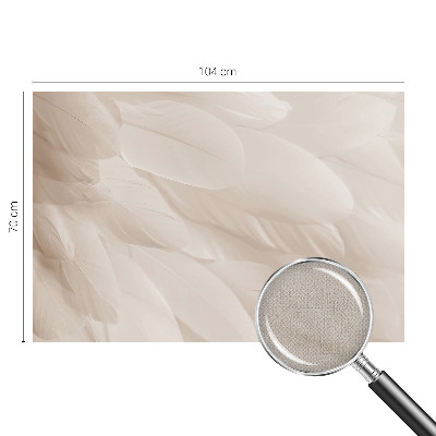 Removable wall mural wallpaper Ethereal feathers