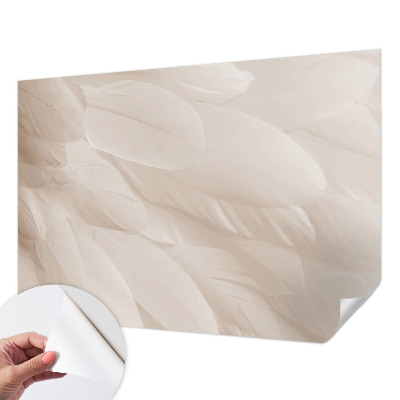Removable wall mural wallpaper with an ethereal feather pattern