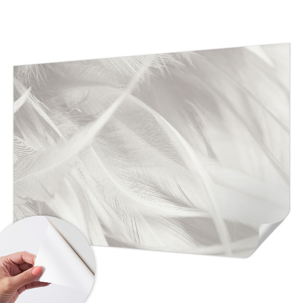 Peel and stick wall mural for living room Subtle feathers