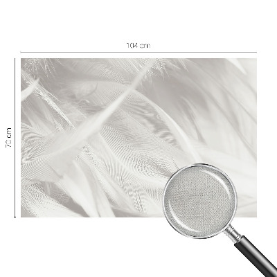 Peel and stick wall mural for living room Subtle feathers