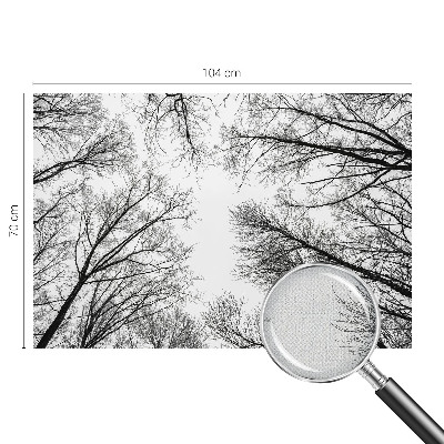 Children's wall mural with bare branches design