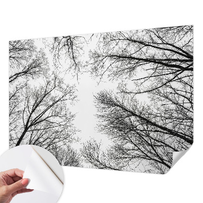 Children's wall mural with bare branches design