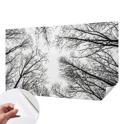 Children's wall mural with bare branches design