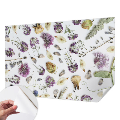 Peel and stick wallpaper mural Dried flowers