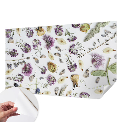 Peel and stick wallpaper mural Dried flowers