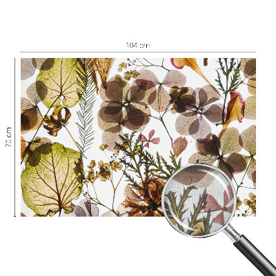 Removable wall mural wallpaper with a natural composition