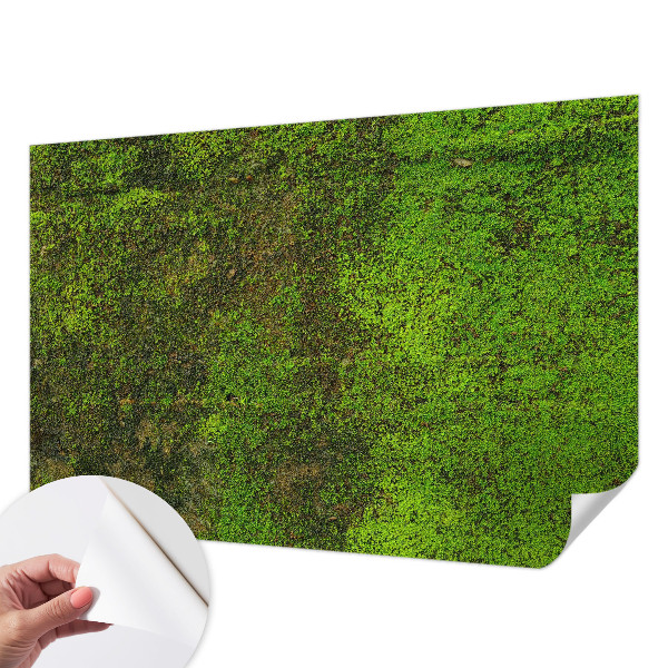 Removable wall mural wallpaper with a green carpet pattern