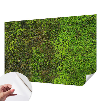 Removable wall mural wallpaper with a green carpet pattern