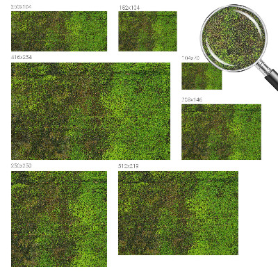 Removable wall mural wallpaper with a green carpet pattern