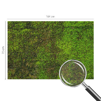 Removable wall mural wallpaper Green carpet