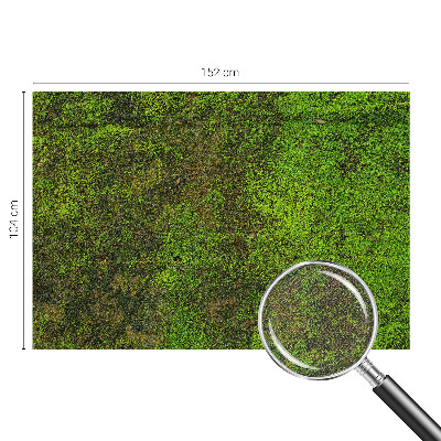 Removable wall mural wallpaper with a green carpet pattern