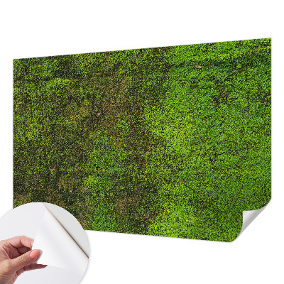 Removable wall mural wallpaper with a green carpet pattern