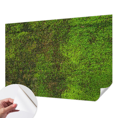 Removable wall mural wallpaper with a green carpet pattern