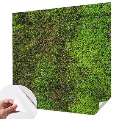 Removable wall mural wallpaper Green carpet