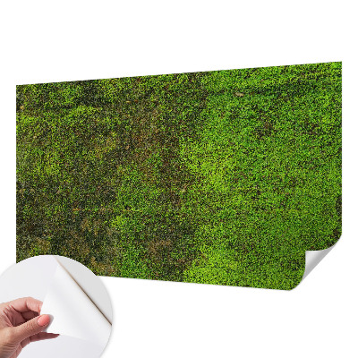Removable wall mural wallpaper Green carpet