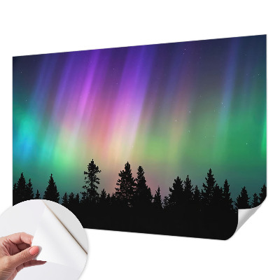Peel and stick wall mural for living room Magical sky