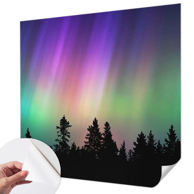 Peel and stick wall mural for living room with a magical sky design