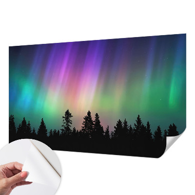 Peel and stick wall mural for living room with a magical sky design