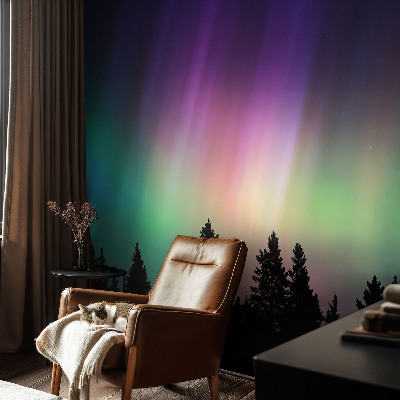 Peel and stick wall mural for living room Magical sky
