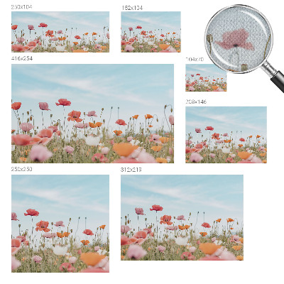 Nursery wall mural Poppy flowers
