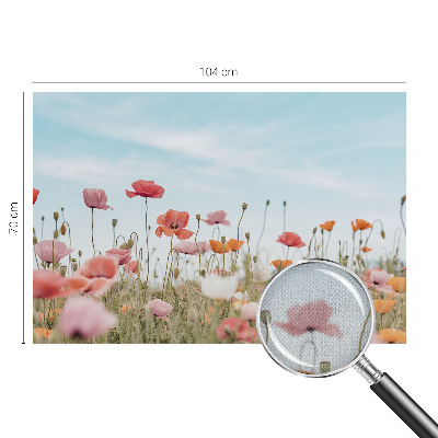 Nursery wall mural Poppy flowers