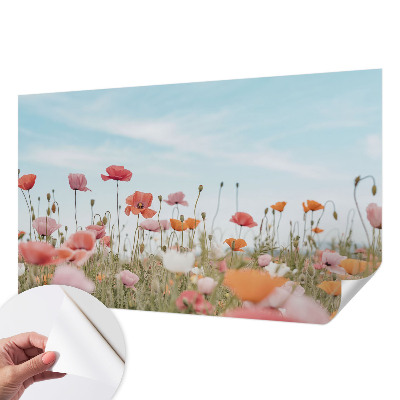 Nursery wall mural Poppy flowers