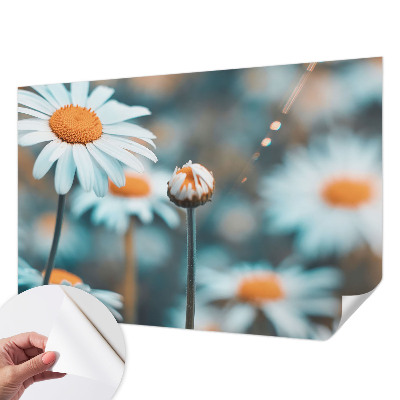 Stick-on wall mural Chamomile delicacy